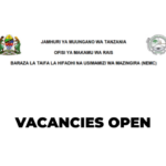 NEMC Job Vacancies 2026 – How to Apply