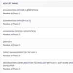 UDOM Job Vacancies 2026 – How to Apply