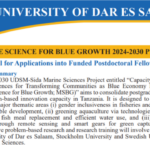 UDSM Funded Postdoctoral Fellowship 2026